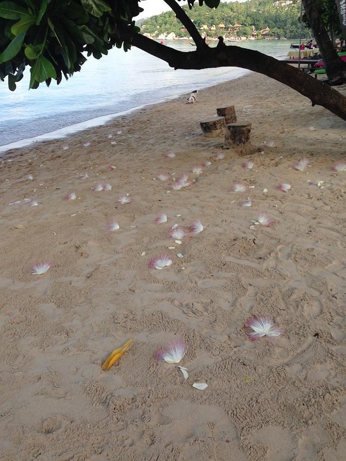 Grand Beach Resort كو تاو المظهر الخارجي الصورة